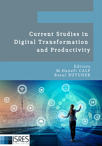 Current Studies in Digital Transformation and Productivity